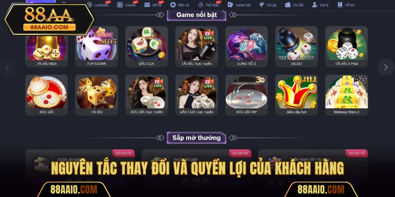 Nguyên tắc thay đổi, quyền lợi, nghĩa vụ của người chơi 